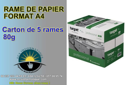 Rame de papier format A4 carton