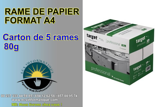Carton de Rame Papier (5 Ramettes) Authentik – Format A4 – 80g - Fourniture  de bureau, papeterie, informatique à Abidjan