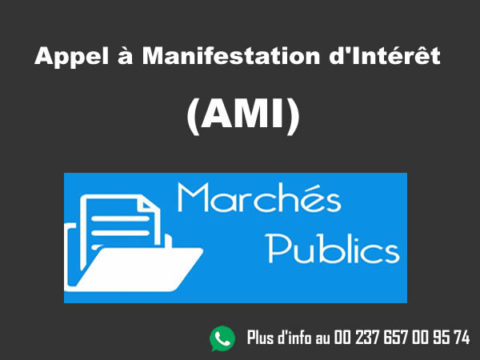 L’appel à manifestation d’intérêt (AMI)