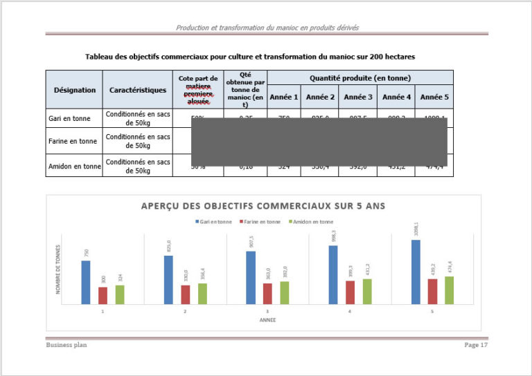 business plan transformation du manioc