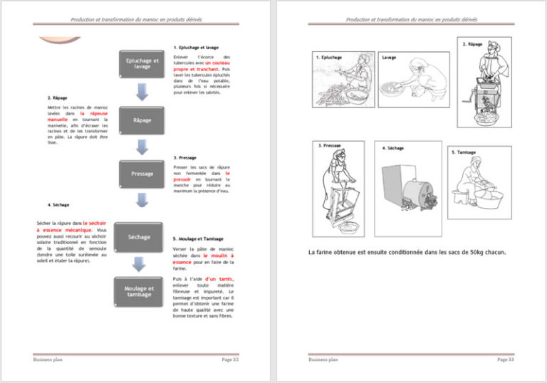 business plan transformation du manioc