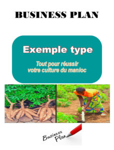 business plan transformation du manioc