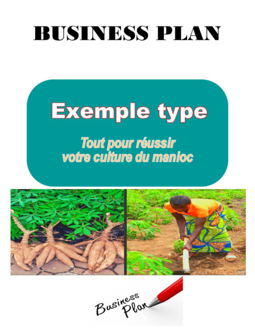 business plan champ de manioc