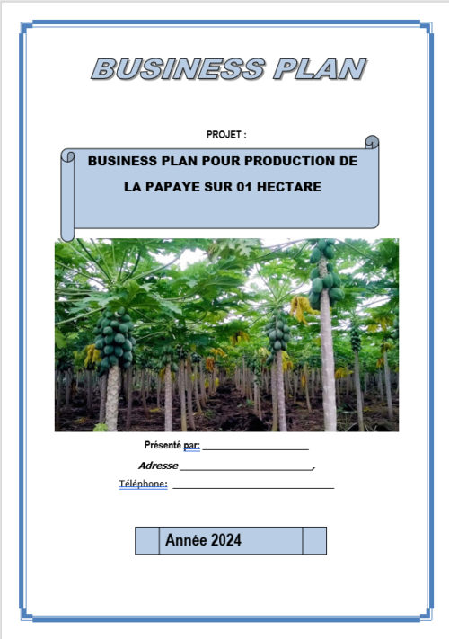 Couverture business plan papaye