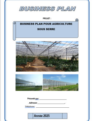 Business plan agriculture sous serre